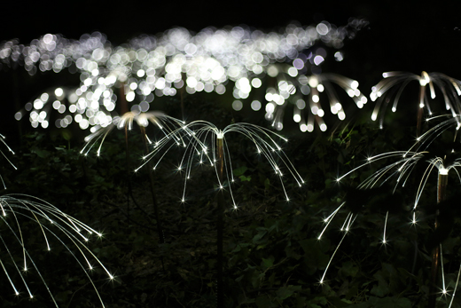Verket p bilden heter Fireflies och r skapat av Bruce Munro. Foto: Mark Pickthall
