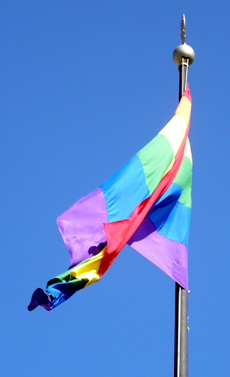 P onsdag 28 maj hissas terigen regnbgs-
flaggan p Gteborgs Stads paradflaggstnger
vid Gustaf Adolfs torg. Foto: Seroj Ghazarian