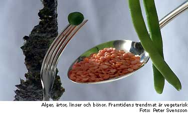 Alger, rtor, linser och bnor. Framtidens trendmat r vegetarisk Foto: Peter Svensson